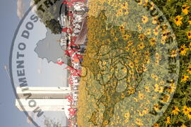 [Título n/d] : lote nº 002, pasta nº 000044, doc. nº 000002 [imagem] / Fotógrafo(a) : [autoria n/d].