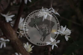 [Título n/d] : lote nº 002, pasta nº 001313, doc. nº 000047 [imagem] / Fotógrafo(a) : [autoria n/d].