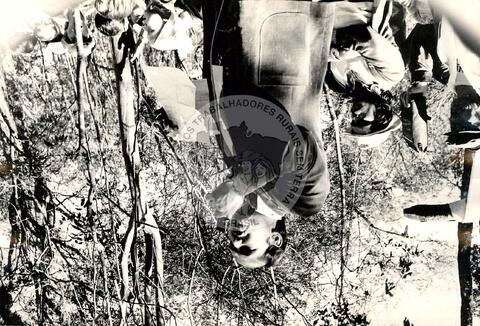 Original Digitaal object not accessible