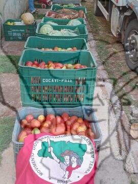 [Título n/d] : lote nº 002, pasta nº 001351, doc. nº 000317 [imagem] / Fotógrafo(a) : [autoria n/d].