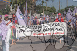 [Título n/d] : lote nº 002, pasta nº 000048, doc. nº 000017 [imagem] / Fotógrafo(a) : [autoria n/d].