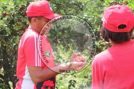 [Título n/d] : lote nº 002, pasta nº 000014, doc. nº 000246 [imagem] / Fotógrafo(a) : [autoria n/d].