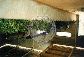 Recebimento de erva Mate Verde (Santa Maria D'Oeste-PR, [sem data]) [fotografia] / Fotógrafo(a) : Arquivo MST. -- Ref.: BR-SPMST_MST-SN-CIN_AMP_001998-015233-PDU.