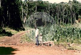 Assentamento "25 de Maio" do MST (Ponte Serrada-SC, fev. 1988) [fotografia] / Fotógrafo(a) : Arquivo MST. -- Ref.: BR-SPMST_MST-SN-CIN_AMP_000191-001354-ASS.