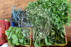 [Título n/d] : lote nº 002, pasta nº 001350, doc. nº 000193 [imagem] / Fotógrafo(a) : [autoria n/d].