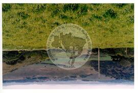 Assentamento "30 de outubro" do MST (Santa Catarina, [sem data]) [fotografia] / Fotógrafo(a) : Douglas Mansur. -- Ref.: BR-SPMST_MST-SN-CIN_AMP_000199-001466-ASS.