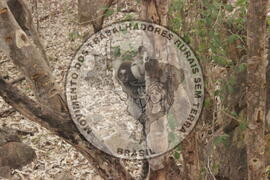 [Título n/d] : lote nº 002, pasta nº 000008, doc. nº 000034 [imagem] / Fotógrafo(a) : [autoria n/d].