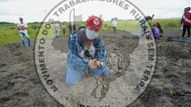 [Título n/d] : lote nº 002, pasta nº 001322, doc. nº 000015 [imagem] / Fotógrafo(a) : [autoria n/d].