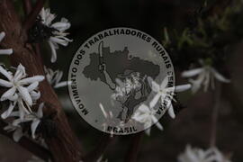 [Título n/d] : lote nº 002, pasta nº 001313, doc. nº 000046 [imagem] / Fotógrafo(a) : [autoria n/d].