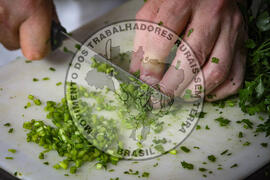 [Título n/d] : lote nº 002, pasta nº 001342, doc. nº 000013 [imagem] / Fotógrafo(a) : [autoria n/d].