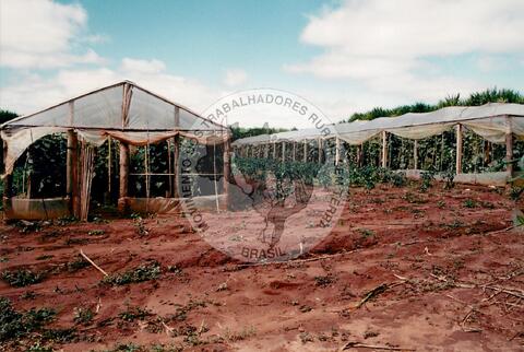 Original Digitaal object not accessible