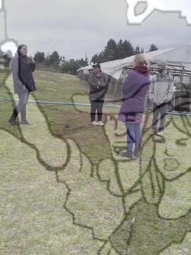 [Título n/d] : lote nº 002, pasta nº 000033, doc. nº 000069 [imagem] / Fotógrafo(a) : [autoria n/d].