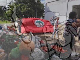 [Título n/d] : lote nº 002, pasta nº 001351, doc. nº 000187 [imagem] / Fotógrafo(a) : [autoria n/d].