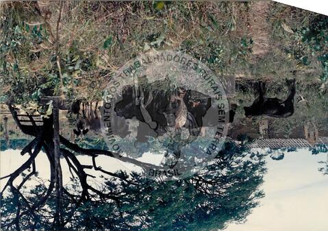 Original Objeto digital not accessible