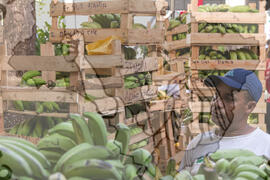 [Título n/d] : lote nº 002, pasta nº 001319, doc. nº 000072 [imagem] / Fotógrafo(a) : [autoria n/d].