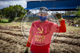 [Título n/d] : lote nº 002, pasta nº 001317, doc. nº 000077 [imagem] / Fotógrafo(a) : [autoria n/d].
