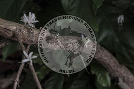 [Título n/d] : lote nº 002, pasta nº 001314, doc. nº 000024 [imagem] / Fotógrafo(a) : [autoria n/d].