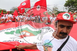 [Título n/d] : lote nº 002, pasta nº 001338, doc. nº 000017 [imagem] / Fotógrafo(a) : [autoria n/d].