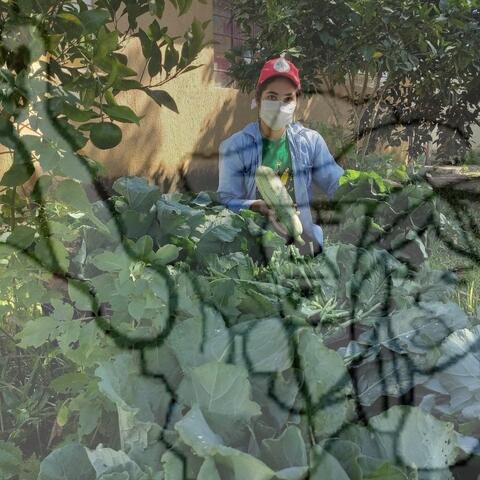 Original Objeto digital not accessible