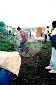 Acampamento "Nova Canudos" do MST (Porto Feliz-SP, fev. 1999) [fotografia] / Fotógrafo(a) : Douglas Mansur. -- Ref.: BR-SPMST_MST-SN-CIN_AMP_000047-000294-ACP.