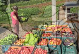 [Título n/d] : lote nº 002, pasta nº 001351, doc. nº 000144 [imagem] / Fotógrafo(a) : [autoria n/d].