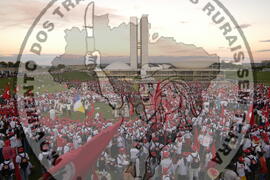 [Título n/d] : lote nº 002, pasta nº 000044, doc. nº 000263 [imagem] / Fotógrafo(a) : [autoria n/d].