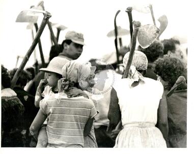 Original Document numérique not accessible