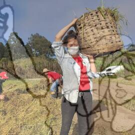 [Título n/d] : lote nº 002, pasta nº 001351, doc. nº 000214 [imagem] / Fotógrafo(a) : [autoria n/d].