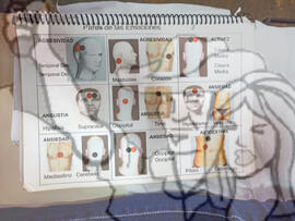 [Título n/d] : lote nº 002, pasta nº 001329, doc. nº 000018 [imagem] / Fotógrafo(a) : [autoria n/d].