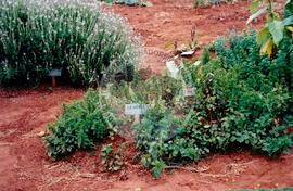 Inauguração da Rádio Comunitária (Itapeva-SP, 28 nov. 2008) [fotografia] / Fotógrafo(a) : Cláudio Foschieira. -- Ref.: BR-SPMST_MST-SN-CIN_AMP_000696-004064-ARV.