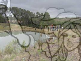 [Título n/d] : lote nº 002, pasta nº 000033, doc. nº 000030 [imagem] / Fotógrafo(a) : [autoria n/d].