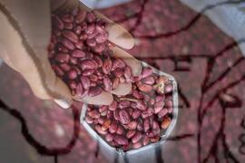 [Título n/d] : lote nº 002, pasta nº 001320, doc. nº 000001 [imagem] / Fotógrafo(a) : [autoria n/d].