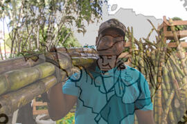 [Título n/d] : lote nº 002, pasta nº 001319, doc. nº 000083 [imagem] / Fotógrafo(a) : [autoria n/d].