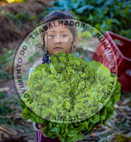 [Título n/d] : lote nº 002, pasta nº 001348, doc. nº 000044 [imagem] / Fotógrafo(a) : [autoria n/d].