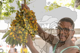 [Título n/d] : lote nº 002, pasta nº 001319, doc. nº 000094 [imagem] / Fotógrafo(a) : [autoria n/d].