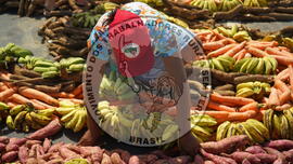 [Título n/d] : lote nº 002, pasta nº 001351, doc. nº 000426 [imagem] / Fotógrafo(a) : [autoria n/d].