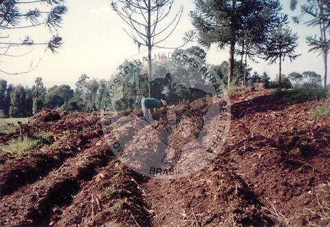 Original Document numérique not accessible