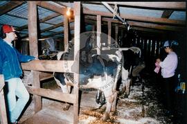 Produção de acampament0 (Rio Grande do Sul, [sem data]) [fotografia] / Fotógrafo(a) : Assis Hofman ; J. Ribber ; Arquivo MST. -- Ref.: BR-SPMST_MST-SN-CIN_AMP_001983-015198-PDU.