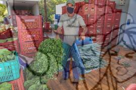 [Título n/d] : lote nº 002, pasta nº 001350, doc. nº 000175 [imagem] / Fotógrafo(a) : [autoria n/d].