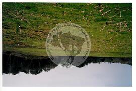 Assentamento "30 de outubro" do MST (Santa Catarina, [sem data]) [fotografia] / Fotógrafo(a) : Douglas Mansur. -- Ref.: BR-SPMST_MST-SN-CIN_AMP_000199-001468-ASS.