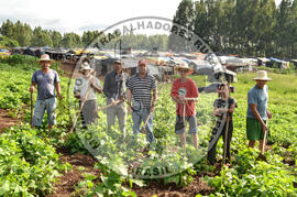 [Título n/d] : lote nº 002, pasta nº 001319, doc. nº 000001 [imagem] / Fotógrafo(a) : [autoria n/d].