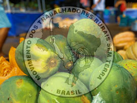 [Título n/d] : lote nº 002, pasta nº 001320, doc. nº 000009 [imagem] / Fotógrafo(a) : [autoria n/d].