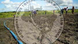 [Título n/d] : lote nº 002, pasta nº 001322, doc. nº 000003 [imagem] / Fotógrafo(a) : [autoria n/d].