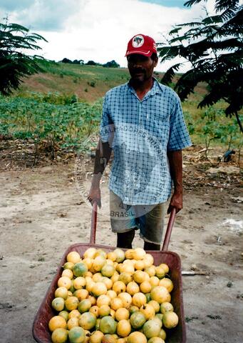 Original Objeto digital not accessible