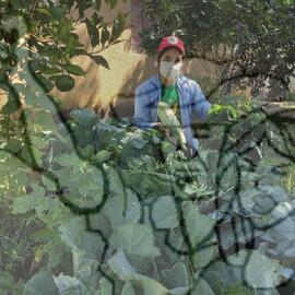 [Título n/d] : lote nº 002, pasta nº 001351, doc. nº 000211 [imagem] / Fotógrafo(a) : [autoria n/d].