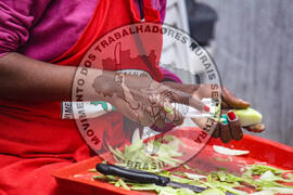 [Título n/d] : lote nº 002, pasta nº 001350, doc. nº 000024 [imagem] / Fotógrafo(a) : [autoria n/d].