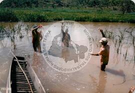 Produção no assentamento (Espírito Santo, fev. 1988) [fotografia] / Fotógrafo(a) : [sem autoria]. -- Ref.: BR-SPMST_MST-SN-CIN_AMP_001971-015109-PDU.