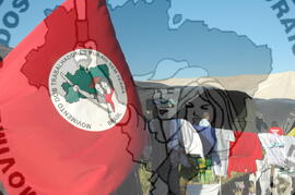 [Título n/d] : lote nº 002, pasta nº 000045, doc. nº 000446 [imagem] / Fotógrafo(a) : [autoria n/d].