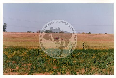 Original Document numérique not accessible