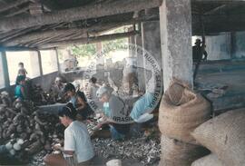 Assentamento "Santana" do MST (Cratéus-CE, [sem data]) [fotografia] / Fotógrafo(a) : Arquivo MST. -- Ref.: BR-SPMST_MST-SN-CIN_AMP_000321-001559-ASS.